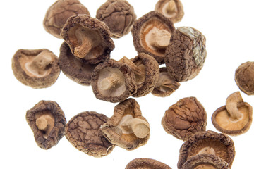 dry mushrooms on a white background