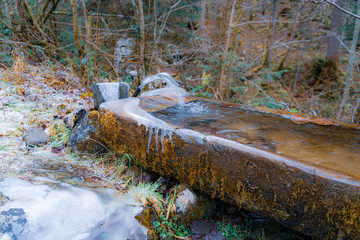 Brunnen im Winter mitten in Gebirgsschlucht, Holztrog der eine Quelle fasst mit vereisten...