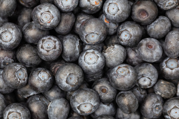 Close up Fresh blueberry background