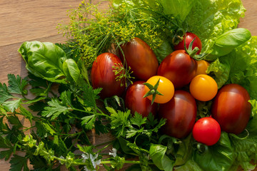 Different colors and shapes of fresh tomatoes  on a wooden table with spices supplements - dill, basil, parsley, lettuce leaves. View from the top.