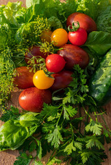 Different colors and shapes of fresh tomatoes and cucumbers on a wooden table with spices supplements - dill, basil, parsley, lettuce leaves. View from the top.