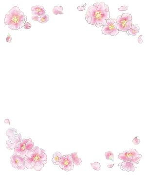 Peach-blossom-vector-illustration-frame-(watercolor-style)