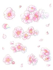 桃の花手描きイラスト(水彩風)