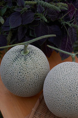 The organic cantaloupe on wooden board