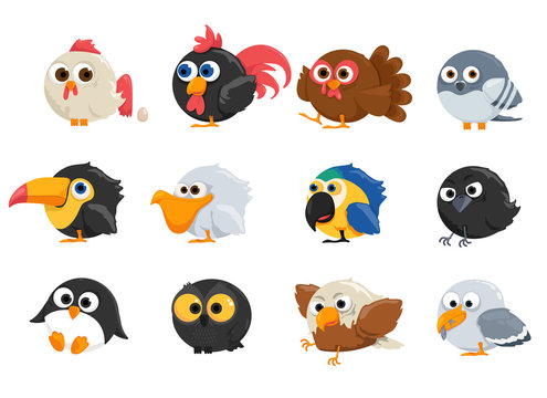 vector set of cartoon birds