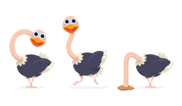 vector cartoon ostrich set isolated on white background