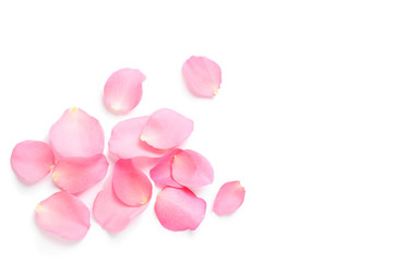 Fresh pink rose petals on white background, top view - obrazy, fototapety, plakaty