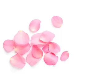 Poster Fresh pink rose petals on white background, top view © New Africa