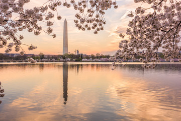Washington DC, USA in Spring