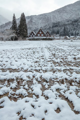 岐阜県 白川郷 雪景色 三つ子