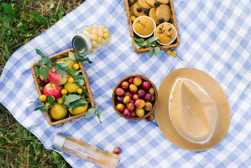 Healthy picnic for summer holidays with fresh pastries, fresh fruits and berries, laid out on a...