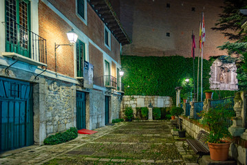 Fototapeta na wymiar casa del escritor Miguel de Cervantes en Valladolid España