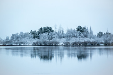 landscape with lake and trees