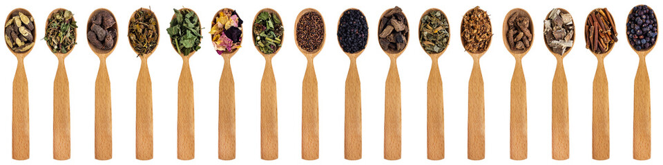 Various medicinal herbs in wooden spoons isolated on a white background. Dried medicinal plants for a healthy lifestyle. Banner with a collection of herbs