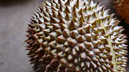 Fototapeta premium King of Fruits, Durian is a popular tropical fruit in Asia