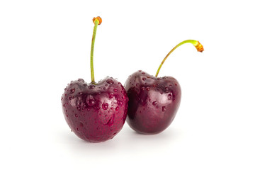 Fresh isolated red Cherry with droplet on white background.