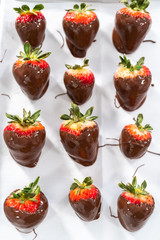 Chocolate dipped strawberries