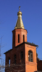 Fototapeta na wymiar Domes of the christian church against the sky