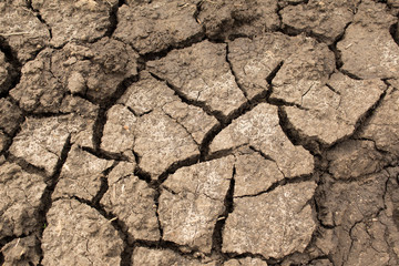 Drought-prone land close-up