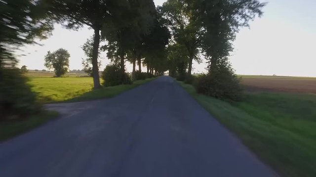Point of view of a car driving in countryside with sun the behind the threes