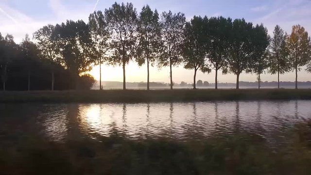 Sunrise on the schelde river with fog on the field and light throught the poplars threes