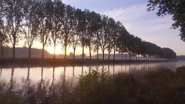 Sunrise on the schelde river with fog on the water and the sun behind the threes
