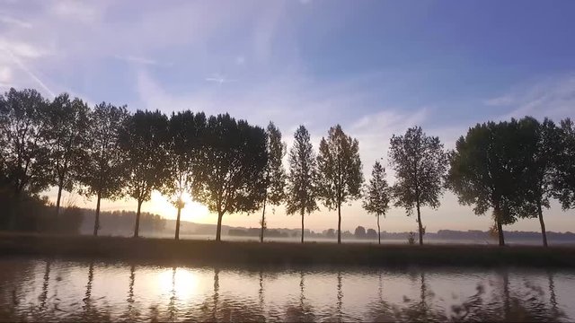 Sunrise on the schelde river with fog on the field and light throught the poplars threes
