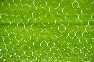 Soccer goal net on grass field