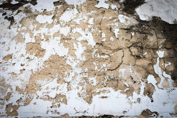 Old Brick wall texture with natural pattern