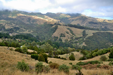 Fototapeta na wymiar New Zealand Akaroa