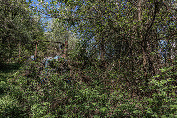 blauer verwachsener traktor im wald