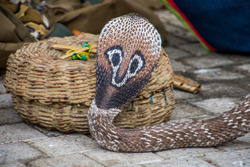 Cobra du Sri Lanka