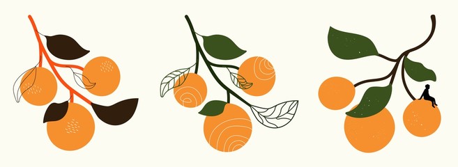 Vector set with oranges with leaves. Doodle elements, grunge dots, man silhouette