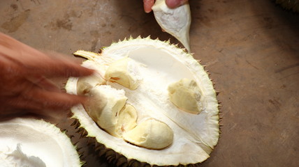 King of Fruits, Durian is a popular tropical fruit in Asia