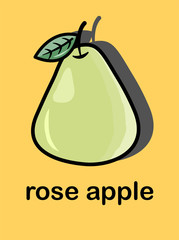 Vector flat design of a green rose apple.