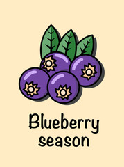 Flat blueberry design vector image.