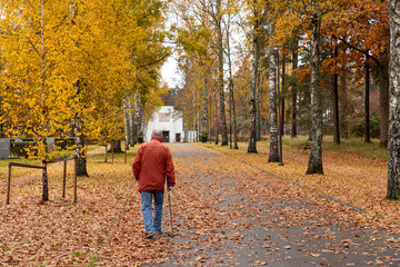 A man is walking in the autumn with autumn leaves and trees falling on the path