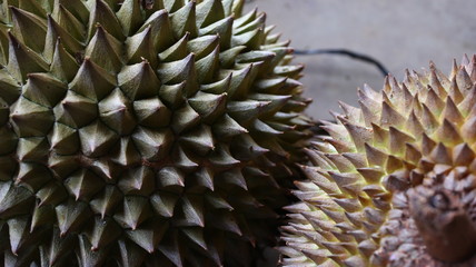 Naklejka na ściany i meble King of Fruits, Durian is a popular tropical fruit in Asia