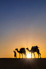 Fototapeta na wymiar Silhouette of man walking with his camels, Thar desert, Rajasthan, India