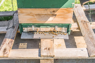 Bienenkasten und Insektenhotel auf einer Wiese eines Bauernhofes, Deutschland
