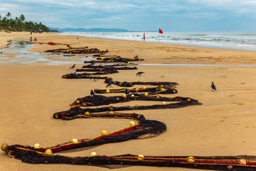 Ocean Goa fishing nets