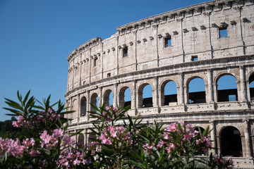 Fototapeta premium rome