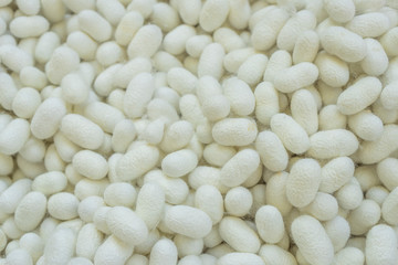 Close up of silk worm cocoons