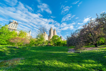 Fototapeta na wymiar Many fresh green trees and plants grow along the footpath beside the Central Park West Buildings in the morning at Central Park New York City NY USA on May. 06 2019. People walk and run on the footpat