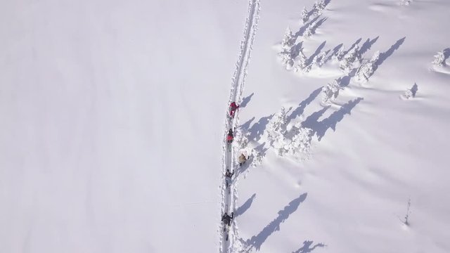 Top down crane drone shot Skiing touring group walking in the snow on mountain