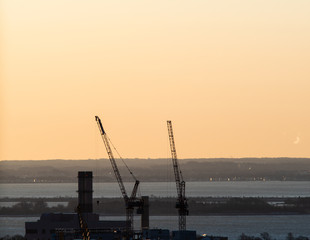 Obraz premium Two Cranes Silhouetted at Dawn In Boston Massachusetts