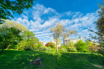 Many fresh green trees and plants grow along the footpath beside the Central Park West Buildings in the morning at Central Park New York City NY USA on May. 06 2019. People walk and run on the footpat