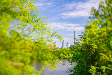 Midtown Manhattan skyscraper stand beyond the many growing fresh green trees along The Lake in Central Park in Central Park New York City NY USA on May. 08 2019.