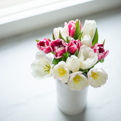 Colorful tulip flowers in front a window
