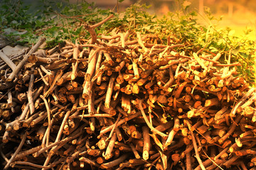 pile of chopped wood sticks for firewood